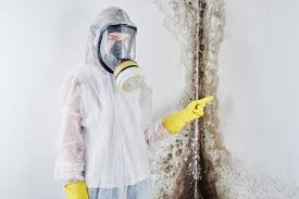 Mold Odor Removal Services in North Chicago, IL